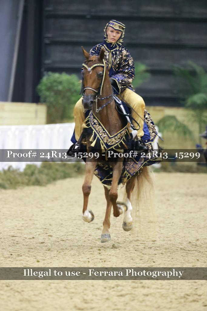 Proof Number 24R13_15299