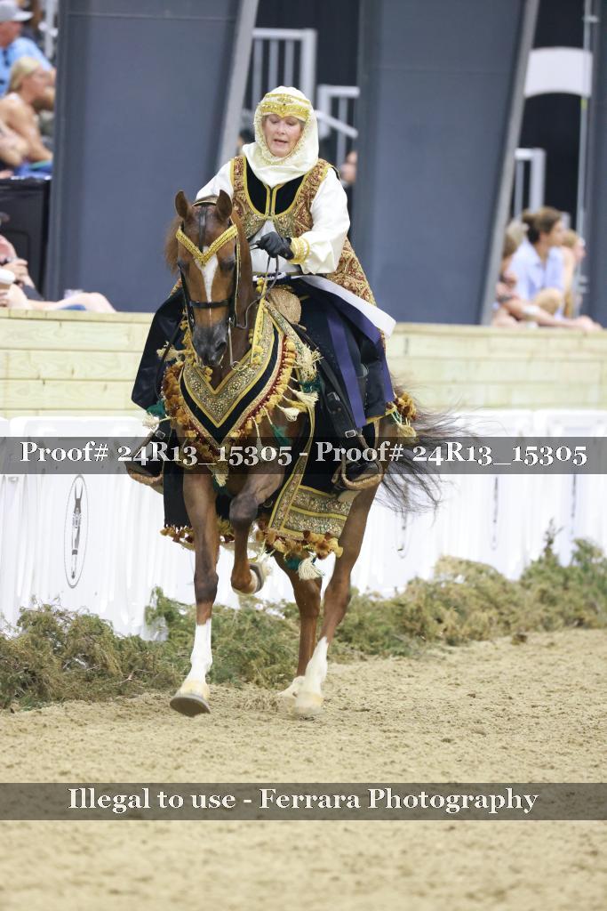 Proof Number 24R13_15305
