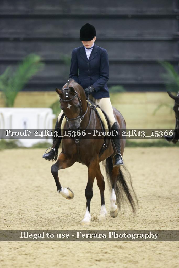 Proof Number 24R13_15366