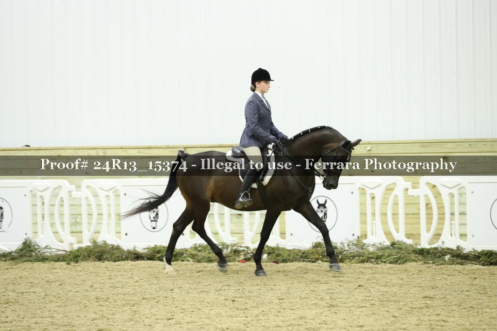 Proof Number 24R13_15374