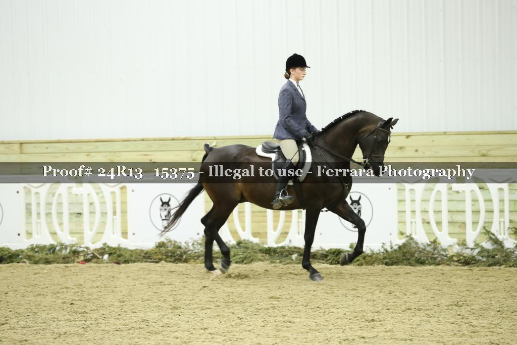 Proof Number 24R13_15375