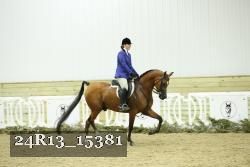 24R13_15381 thumbnail