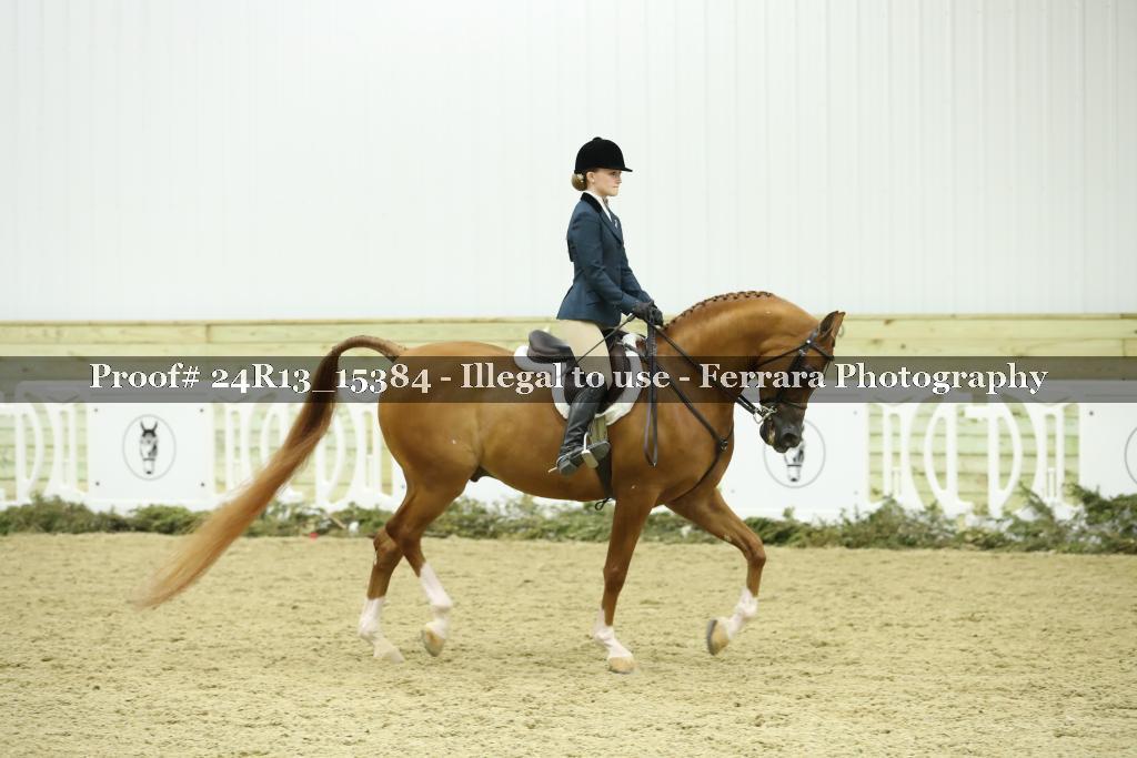 Proof Number 24R13_15384