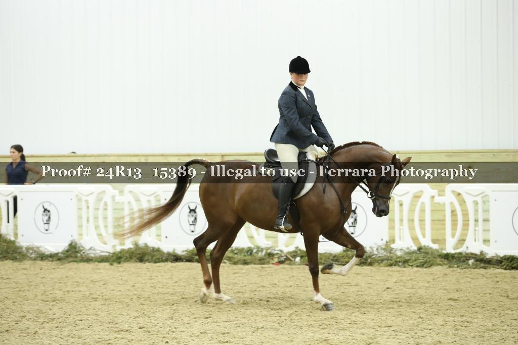 Proof Number 24R13_15389