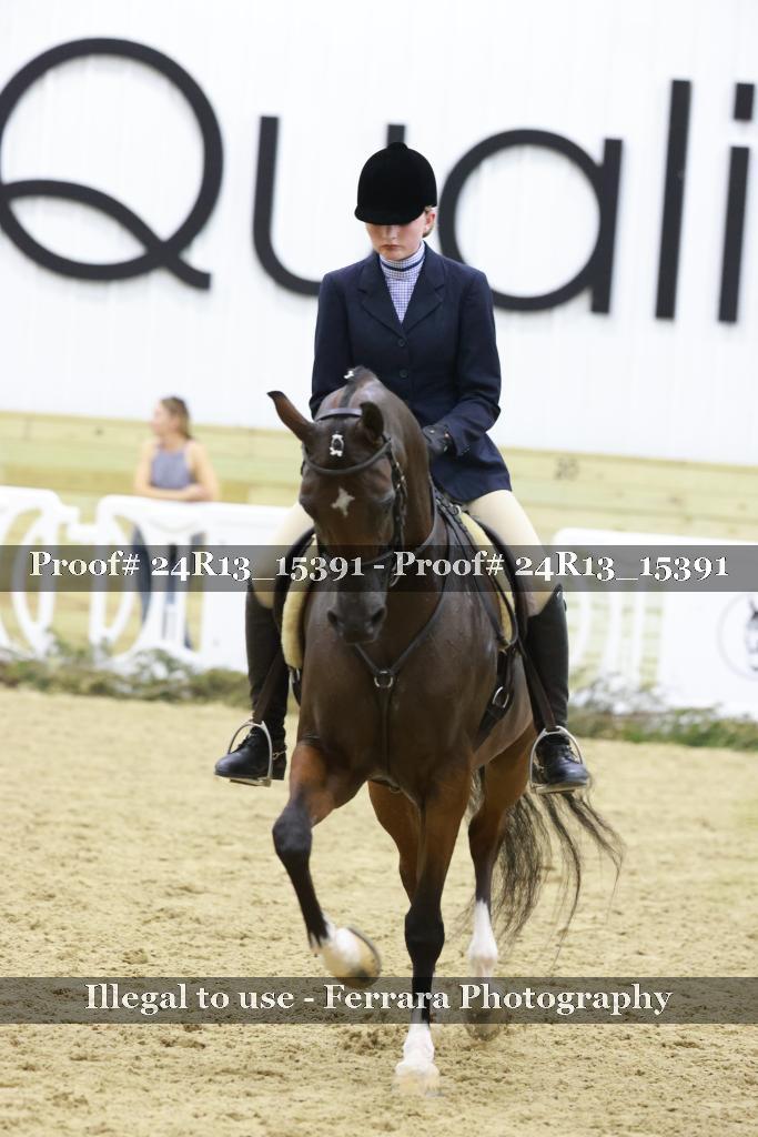 Proof Number 24R13_15391