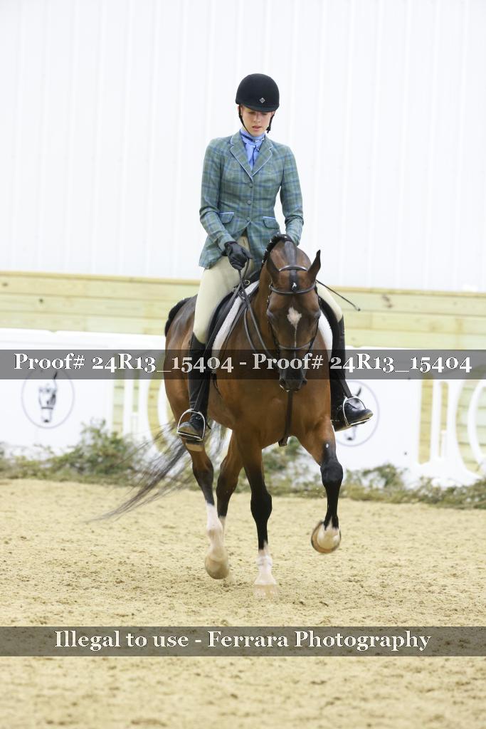 Proof Number 24R13_15404