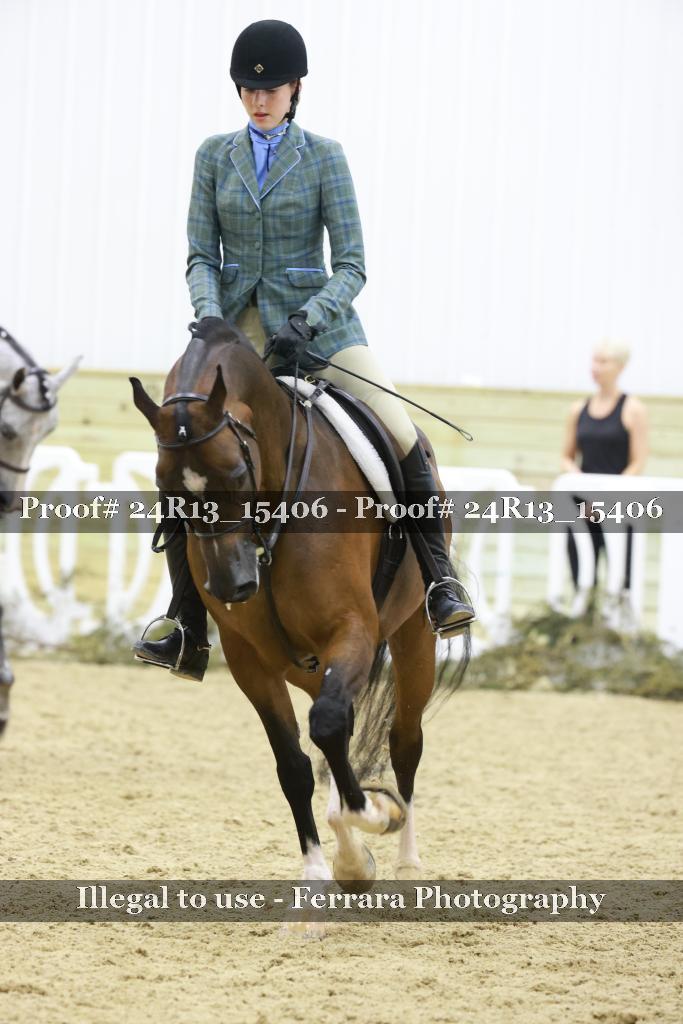 Proof Number 24R13_15406