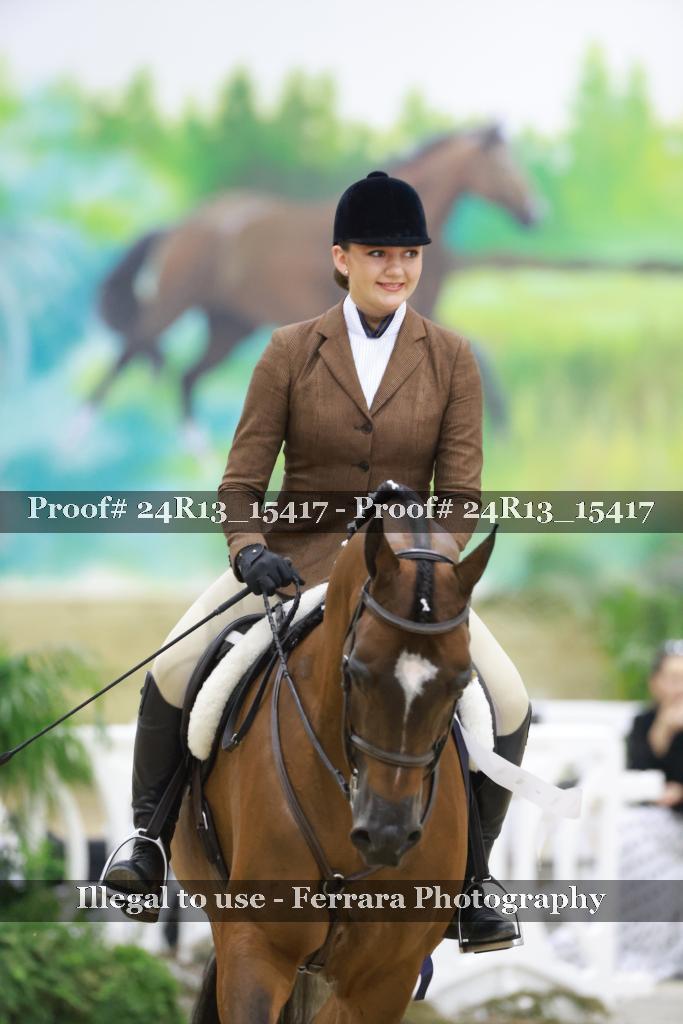 Proof Number 24R13_15417