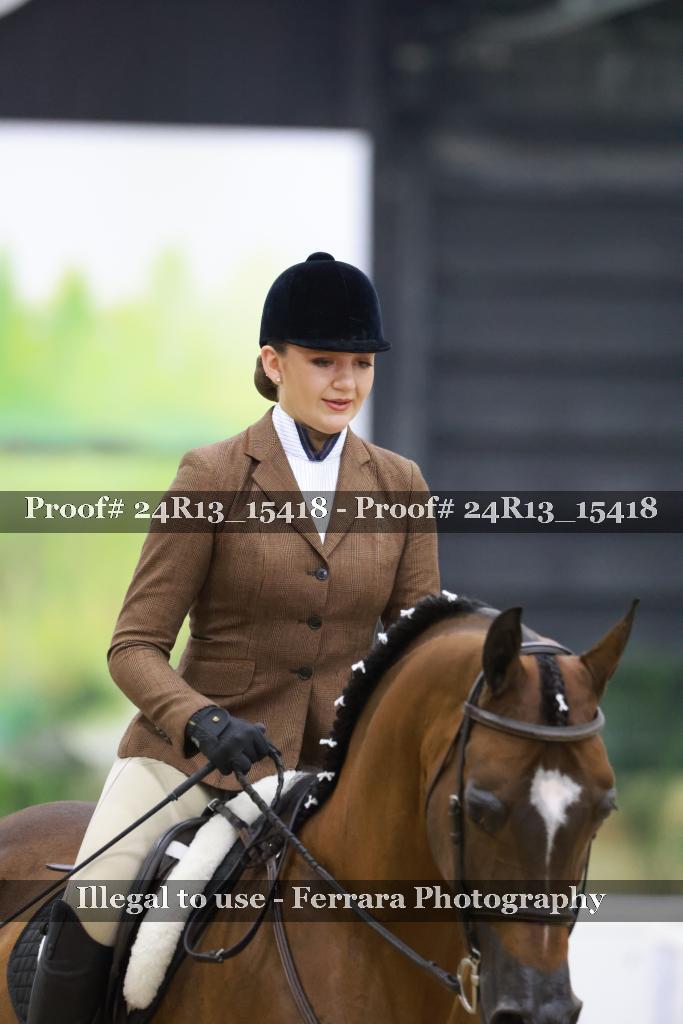 Proof Number 24R13_15418