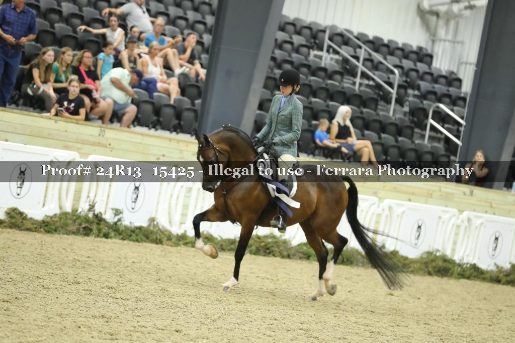 Proof Number 24R13_15425