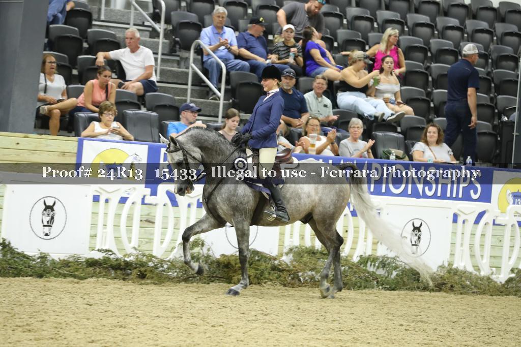 Proof Number 24R13_15433
