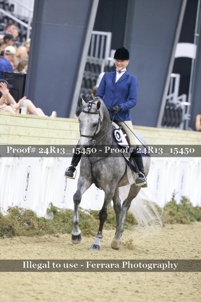 Proof Number 24R13_15450