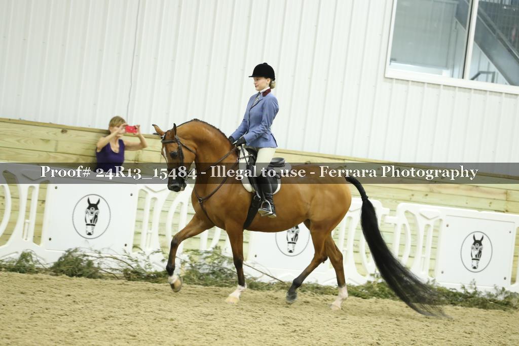 Proof Number 24R13_15484