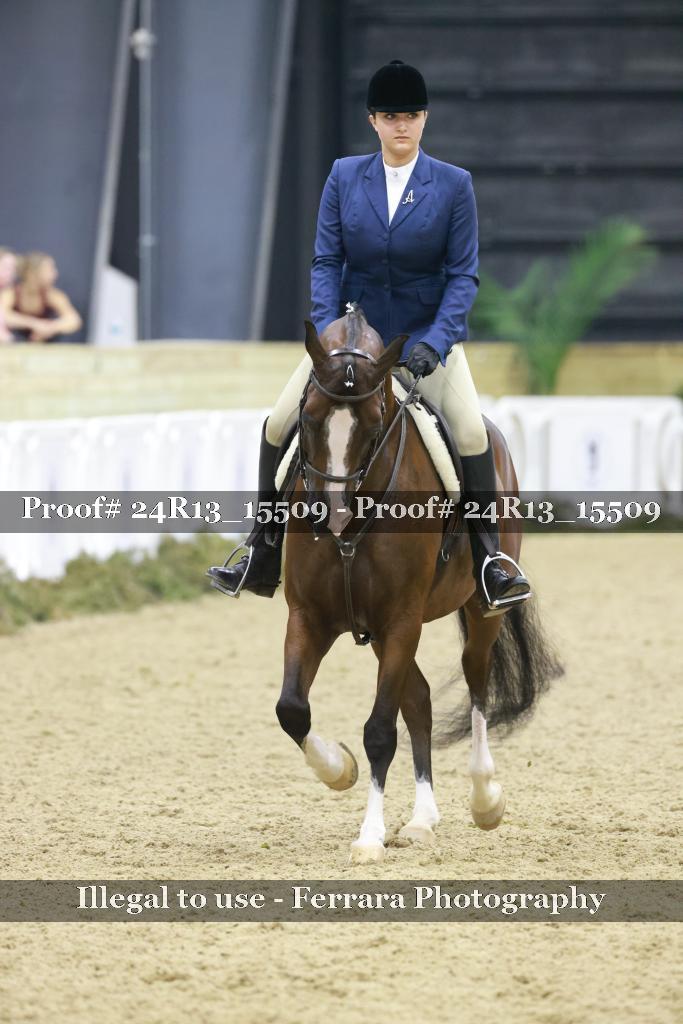 Proof Number 24R13_15509