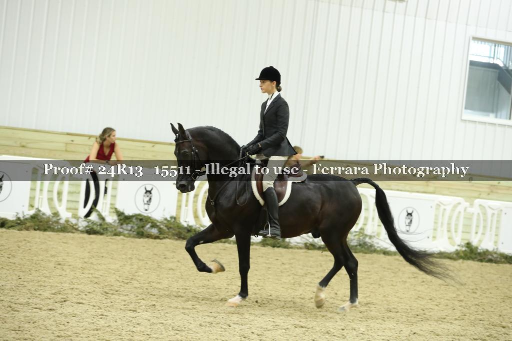 Proof Number 24R13_15511