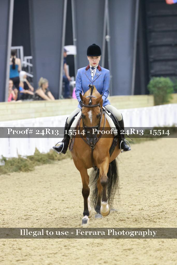 Proof Number 24R13_15514