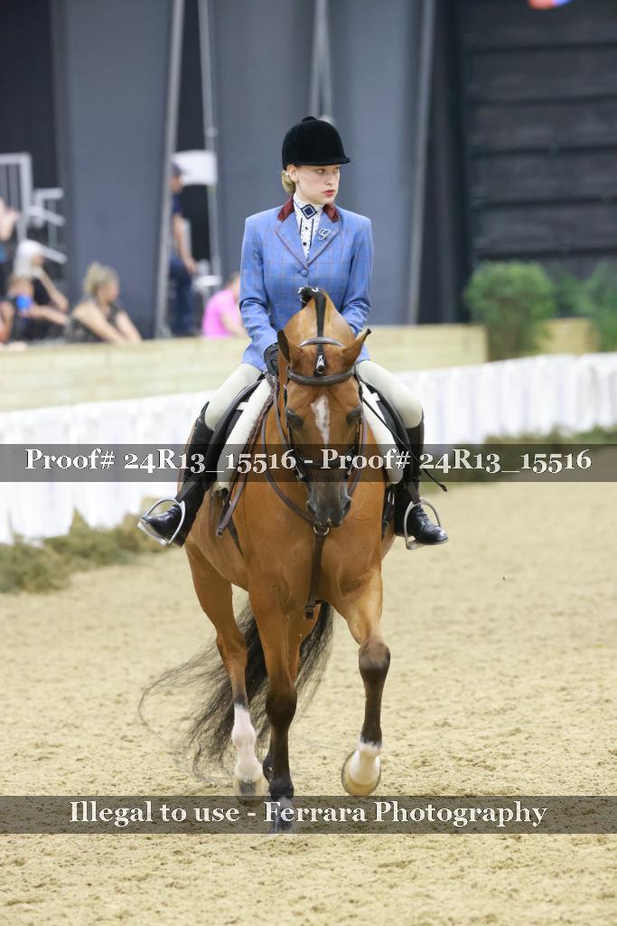 Proof Number 24R13_15516