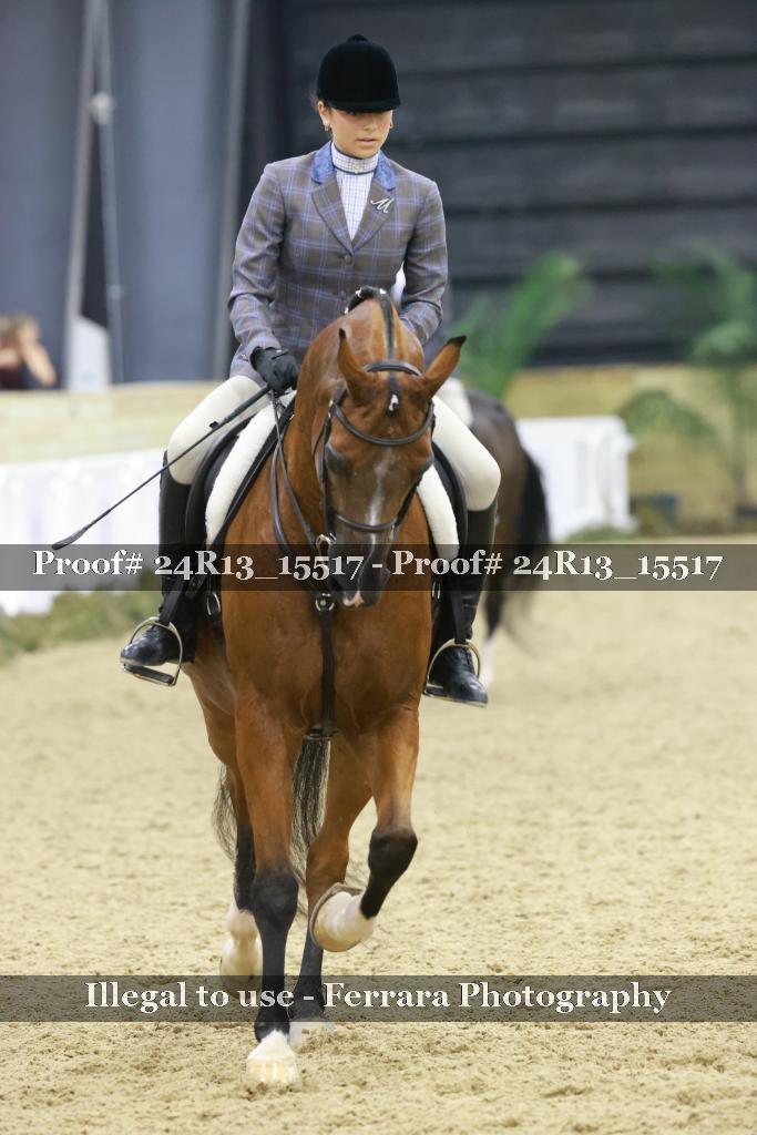 Proof Number 24R13_15517