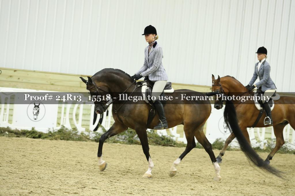 Proof Number 24R13_15518
