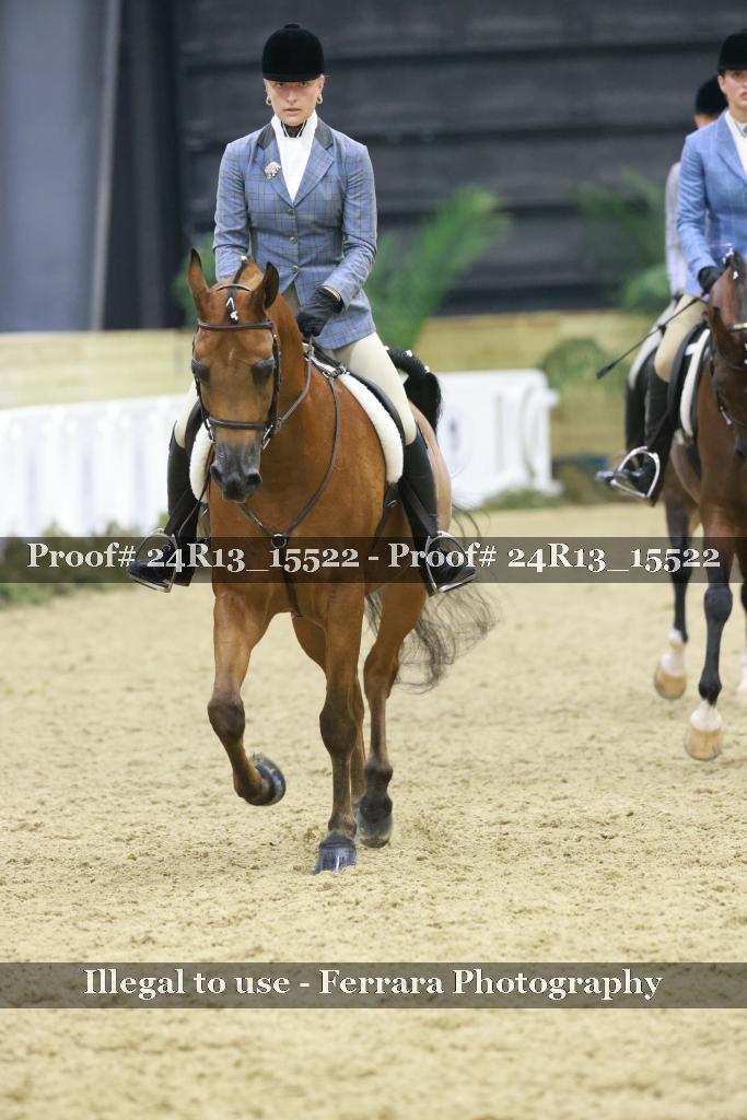 Proof Number 24R13_15522