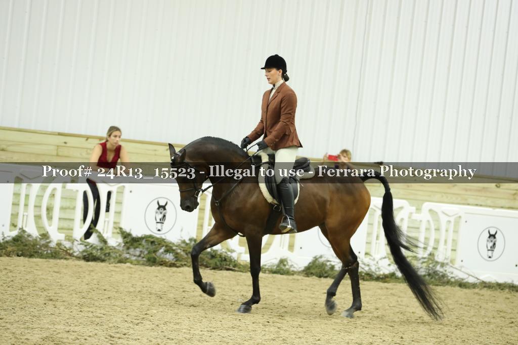 Proof Number 24R13_15523