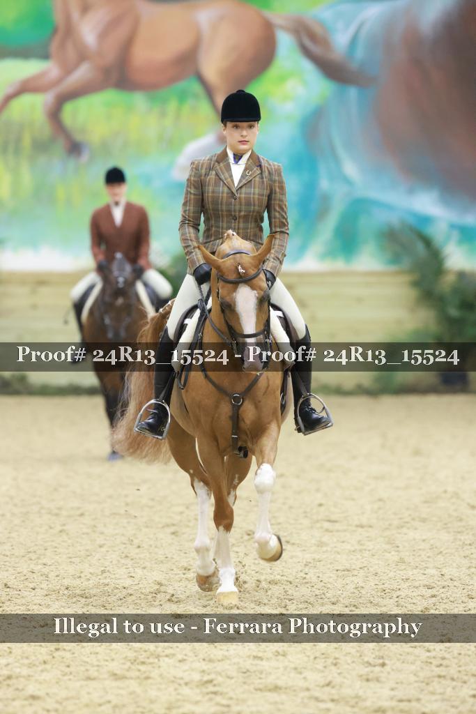 Proof Number 24R13_15524
