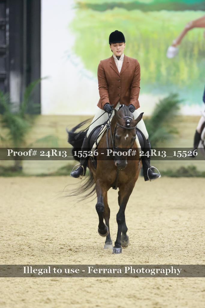Proof Number 24R13_15526