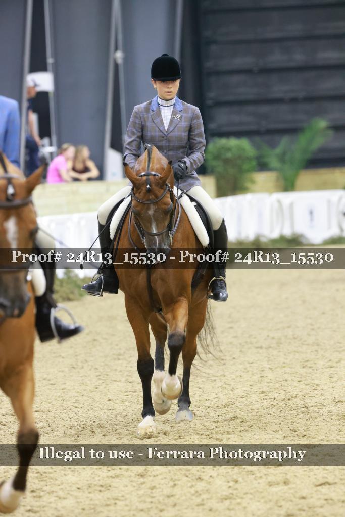 Proof Number 24R13_15530