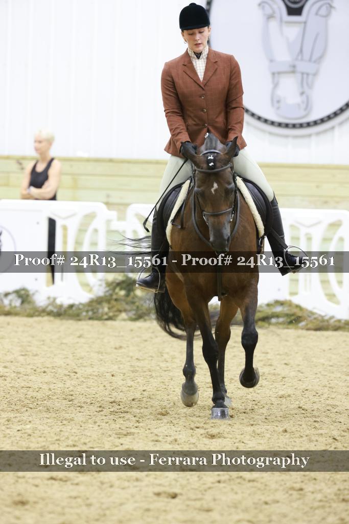Proof Number 24R13_15561