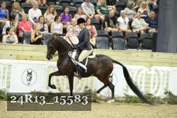 24R13_15583 thumbnail