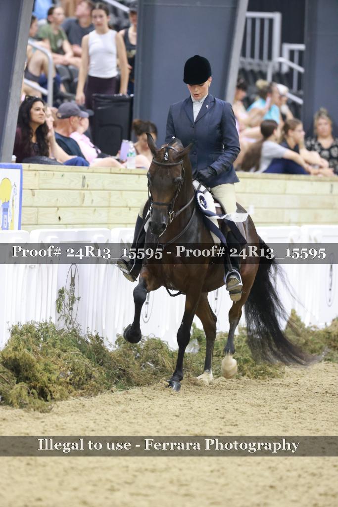 Proof Number 24R13_15595