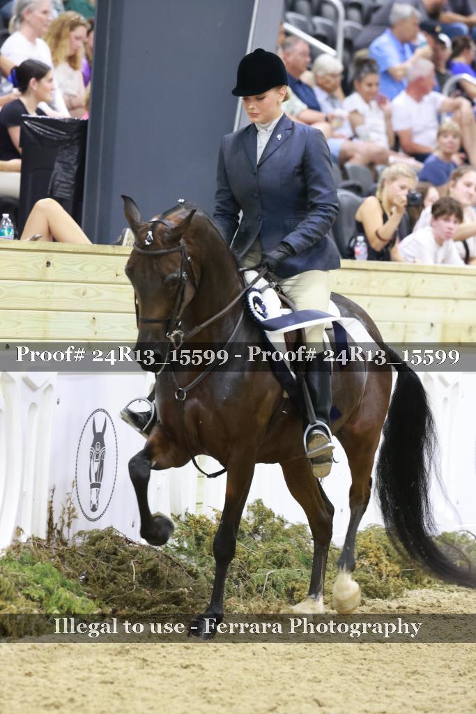 Proof Number 24R13_15599