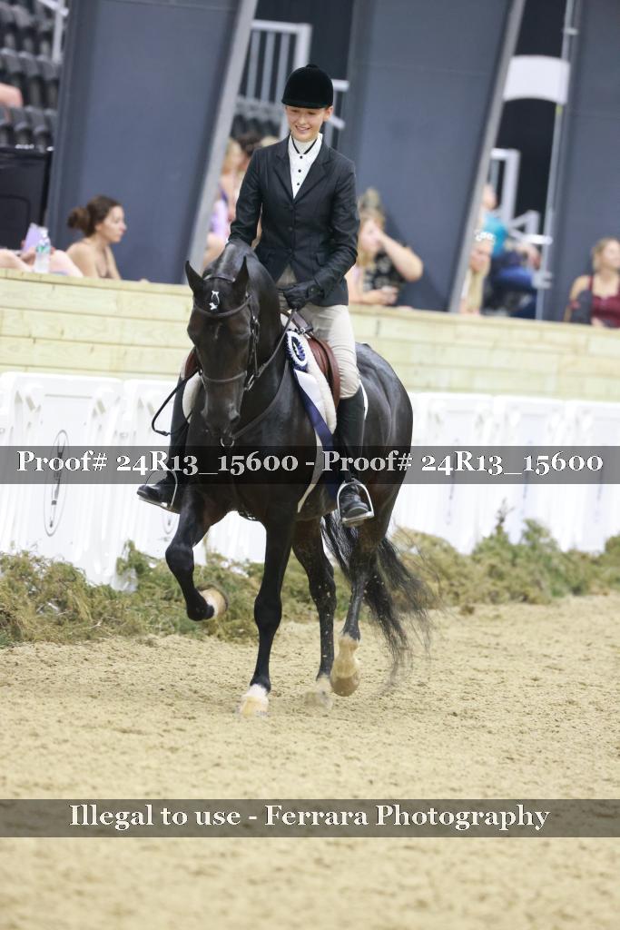 Proof Number 24R13_15600