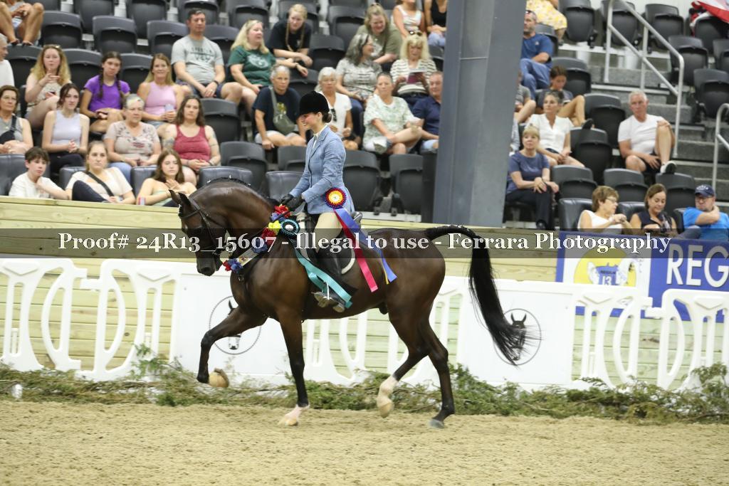 Proof Number 24R13_15607