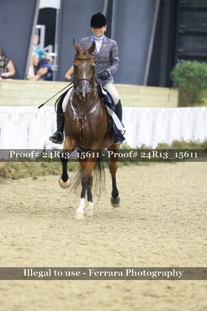 Proof Number 24R13_15611