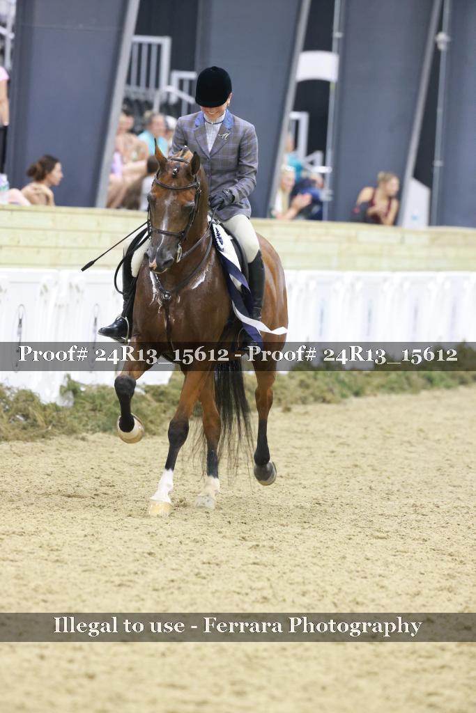 Proof Number 24R13_15612