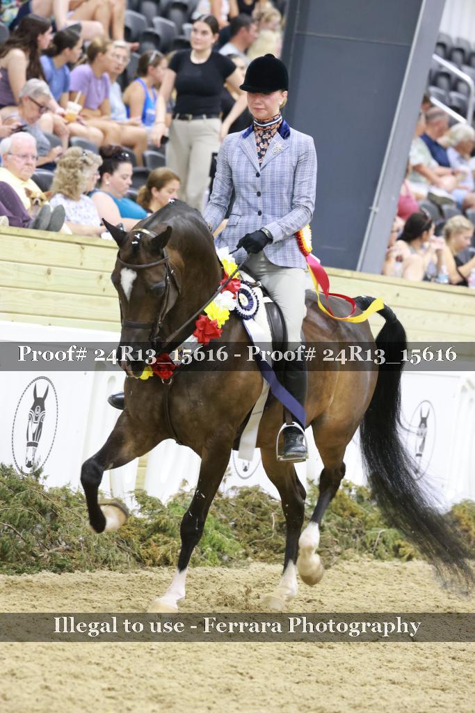 Proof Number 24R13_15616