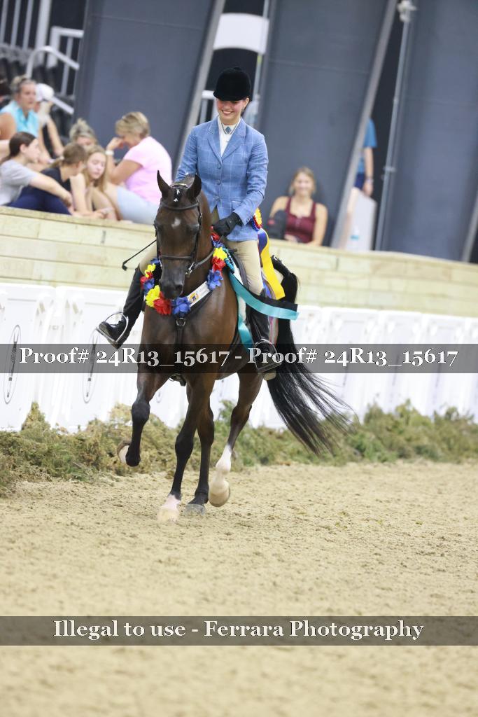 Proof Number 24R13_15617