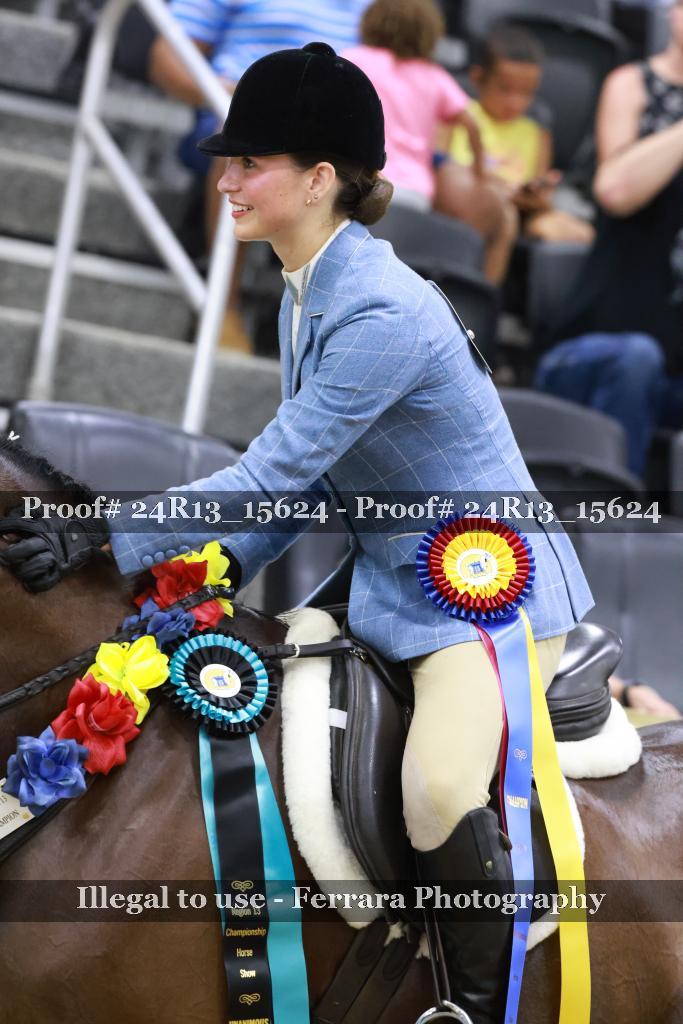 Proof Number 24R13_15624