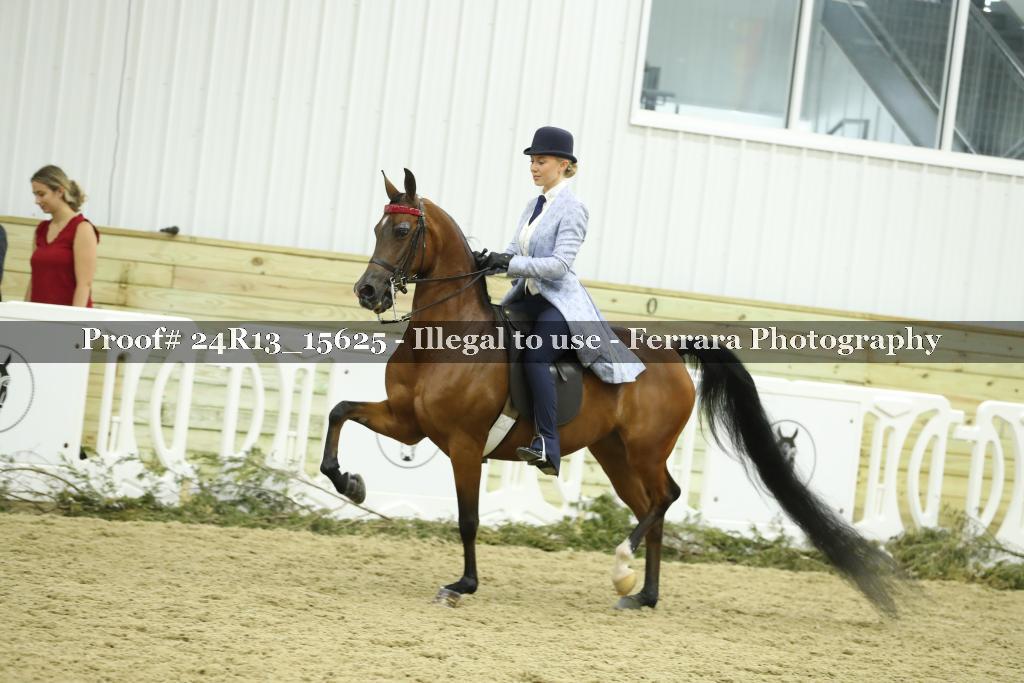Proof Number 24R13_15625