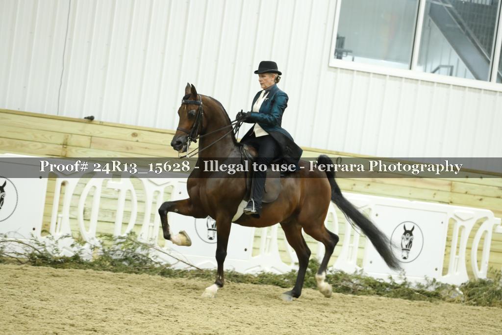 Proof Number 24R13_15628