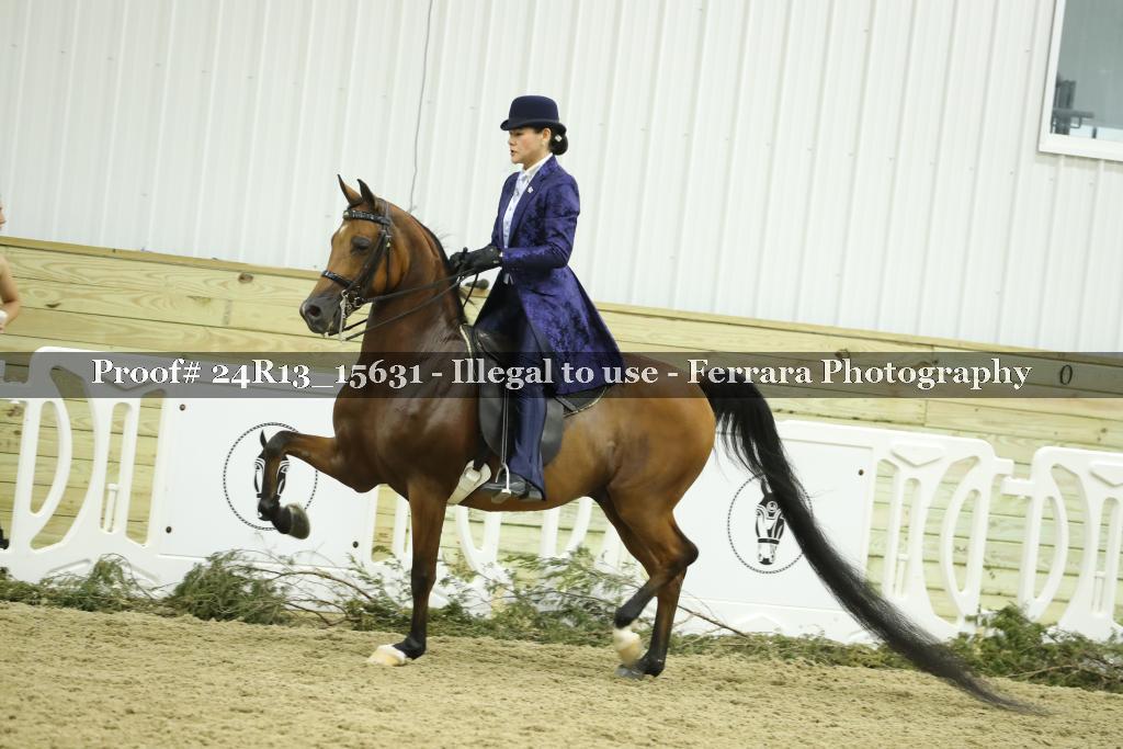Proof Number 24R13_15631