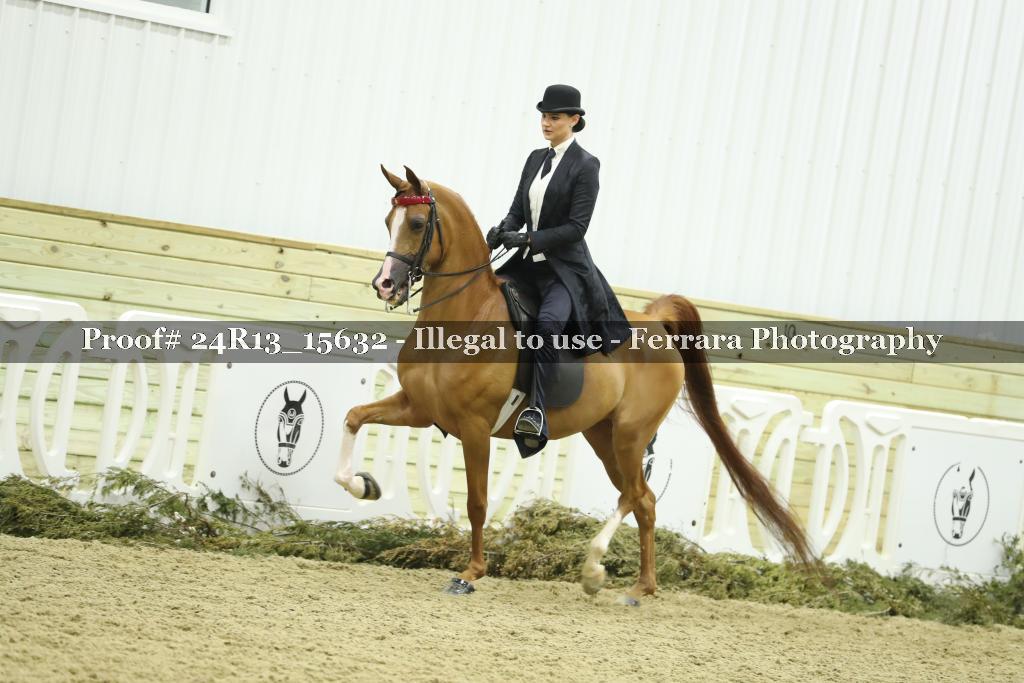 Proof Number 24R13_15632