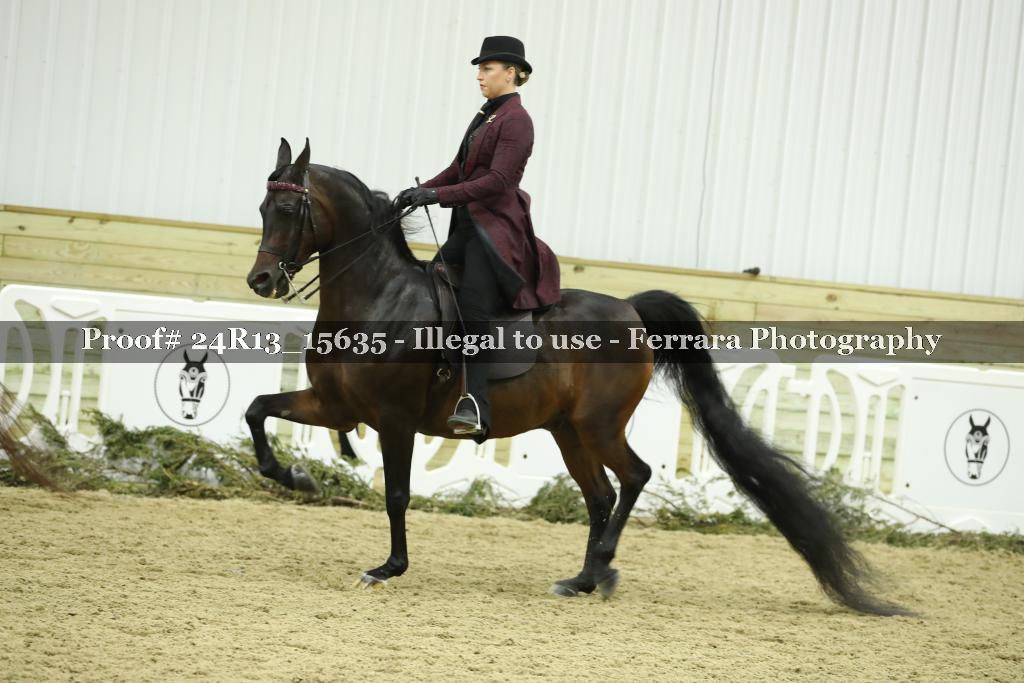 Proof Number 24R13_15635