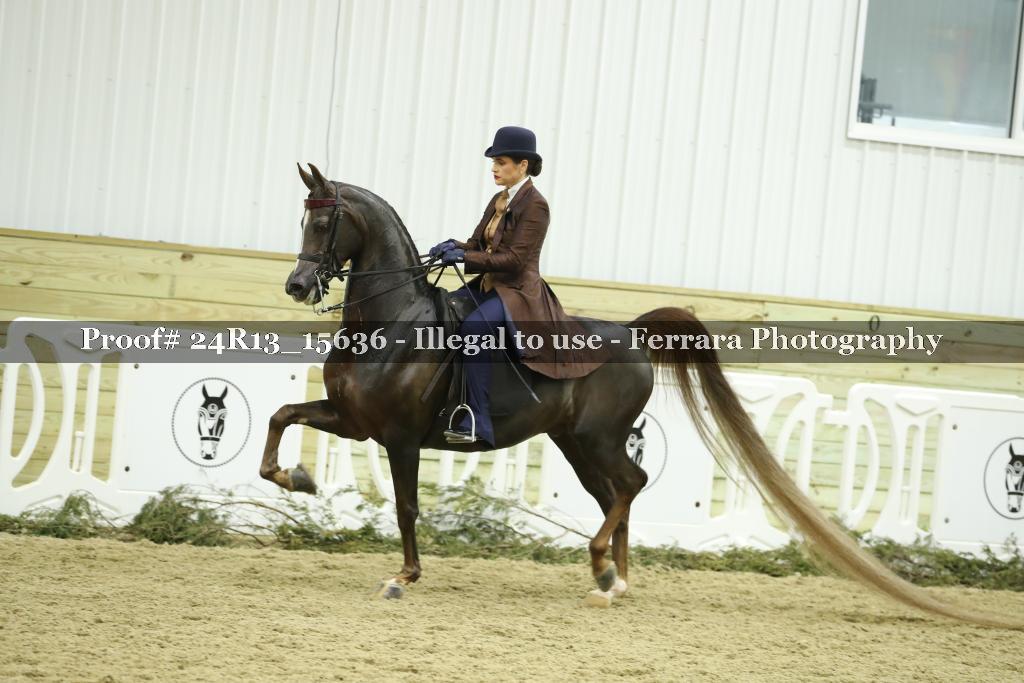 Proof Number 24R13_15636