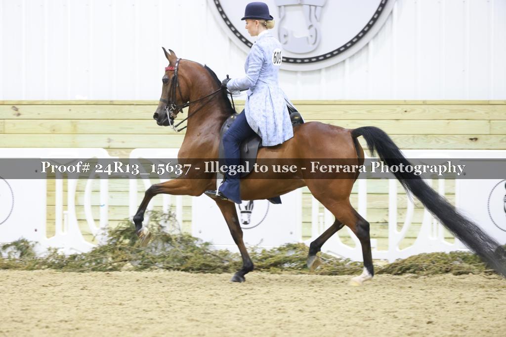 Proof Number 24R13_15637