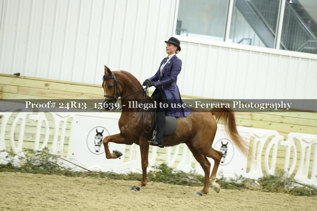 Proof Number 24R13_15639