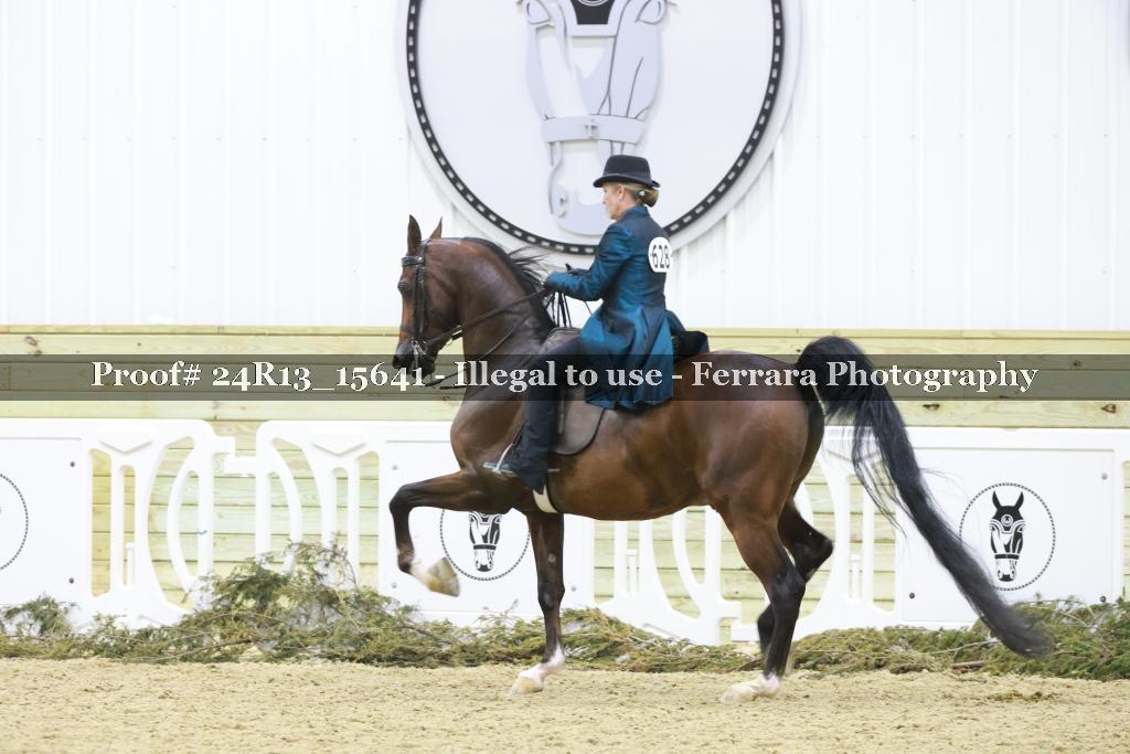 Proof Number 24R13_15641