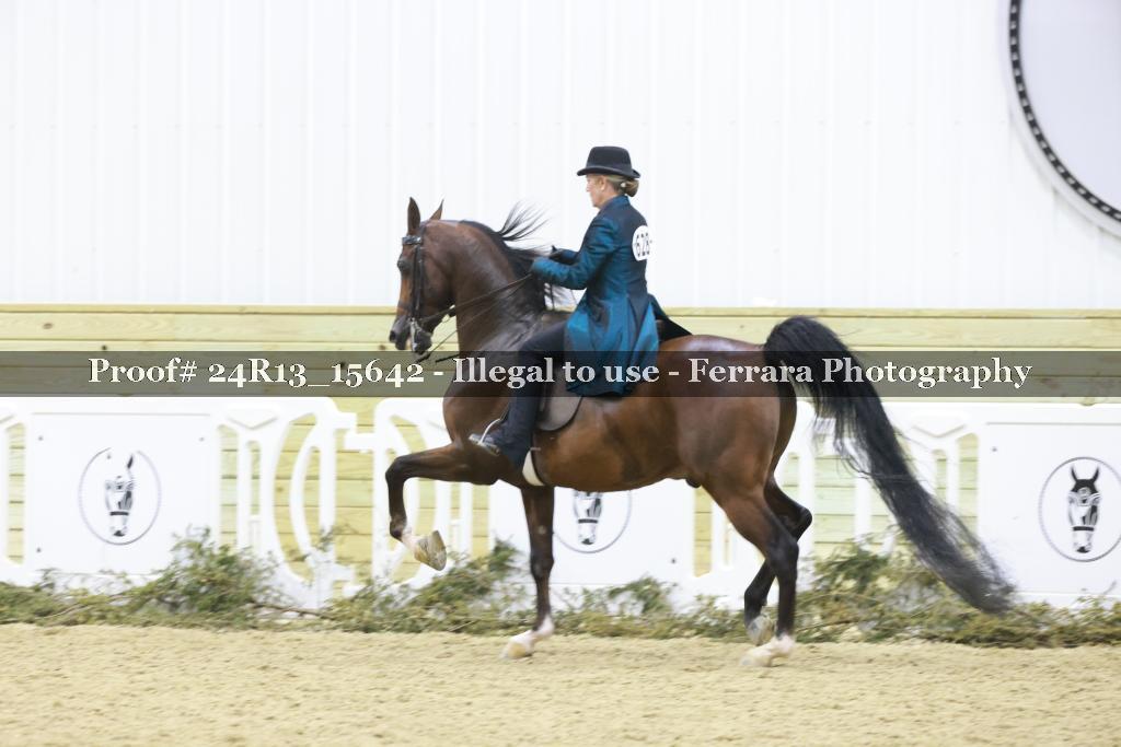 Proof Number 24R13_15642