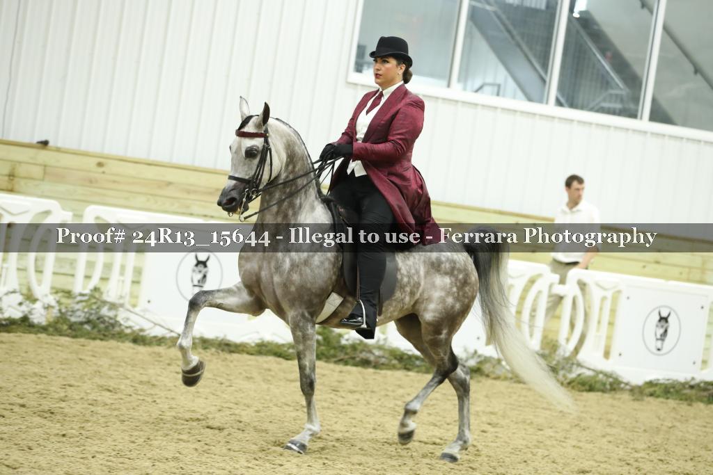 Proof Number 24R13_15644